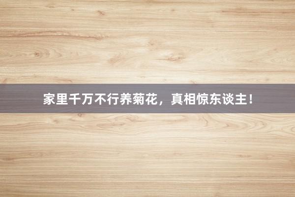 家里千万不行养菊花,真相惊东谈主!