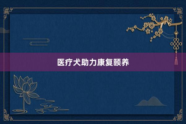 医疗犬助力康复颐养