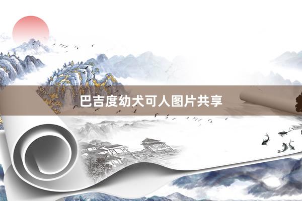 巴吉度幼犬可人图片共享