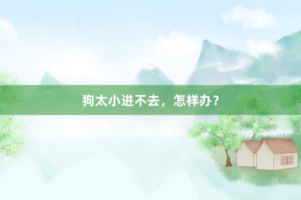 狗太小进不去，怎样办？