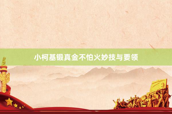 小柯基锻真金不怕火妙技与要领