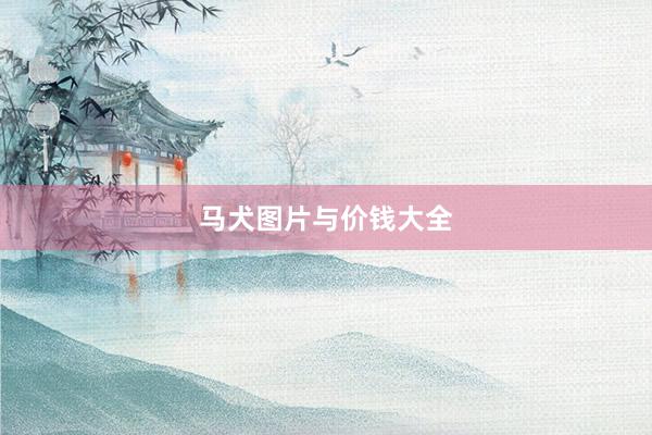 马犬图片与价钱大全